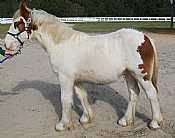 BH Colby